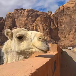 Ešus (15.6.2020) [Tomáš a Blízký Východ]