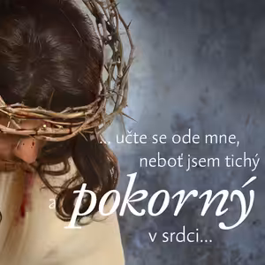 Pokora - Jindřich Novák (30.1.2022)