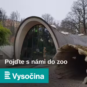 Bazilišci v jihlavské zoo se chystají na přírůstky. Samice pravidelně snáší 12 vajec