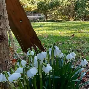 Odemykání meditační zahrady (kázání)