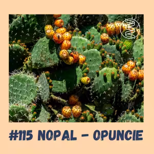 #115 NOPAL - OPUNCIE / epigenetika, diabetes, hubnutí, zdravý mikrobiom, protizánětlivé působení, HDL cholesterol, LDL cholesterol, játra, antimikrobiální působení, antivirální působení
