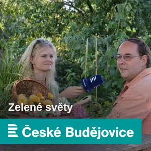 Nové odrůdy hortenzií, tip na web plný užitečných rad a vtipný fejeton Pavla Chlouby