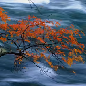 Energie podzimu - Element kovu