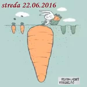 Verejné tajomstvá 30 - 2016-06-22 Zdravá strava 25/2016 (32kb)