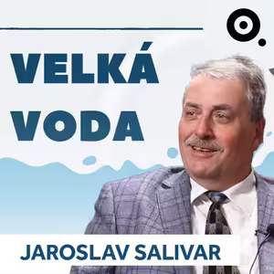 Uprchlíci, blackout, povodně. Bez dobrovolných hasičů by se stát neobešel
