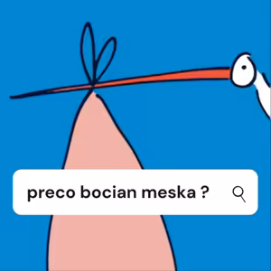 Prečo bocian mešká?