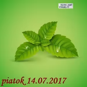 Riešenia a alternatívy 28 - 2017-07-14 Jedlá príroda