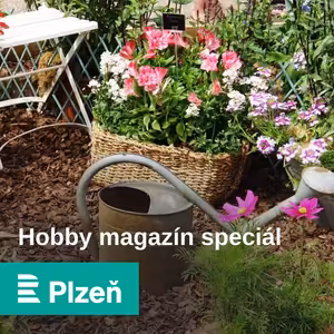 Hobby magazín speciál: krmení želv, drátování nebo bylinky