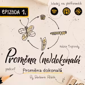 #1 Proměna (ne)dokonalá