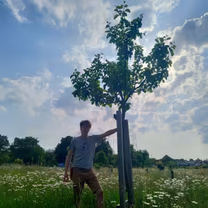 #17: Výsadbou to začíná! Bez následné péče to nemá smysl.