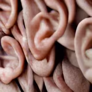 Meditace posloucháním