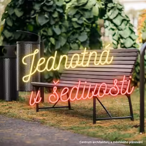 IX/54. Jednotná v šedivosti