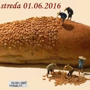 Verejné tajomstvá 25 - 2016-06-01 Zdravá strava 22/2016