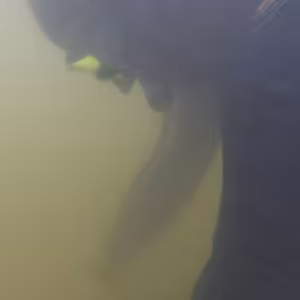 Archeológia pod vodou - rozhovor s Doc. Miroslavou Daňovou