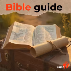 Bible Guide: Exodus (23/25): Ex 28