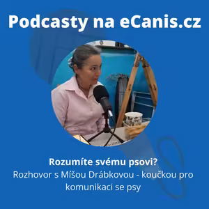 Rozumíte svému psovi?