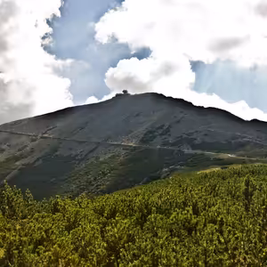 Genius loci: posekáno a teď vzhůru do světa!