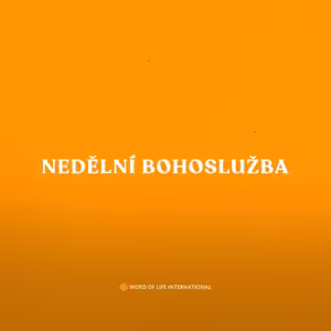 VÍROU NE VIDĚNÍM / Venda Němeček