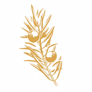 Podcast o runách s Taxus (2. část)