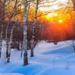 HOROSKOPY: Blíženci, stojíte na prahu změn. V osobním životě je důležité ochránit to, co máte