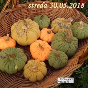 Farmári 18 - 2018-05-30 Tekvičkári
