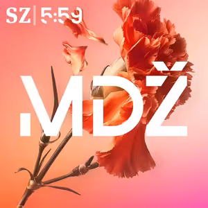 MDŽ: Dělnice neplacené práce