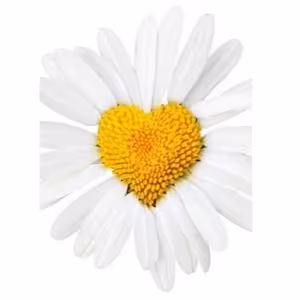 Význam a pomoc vešteckých snov v živote človeka od panií Margaretky [podc:34]