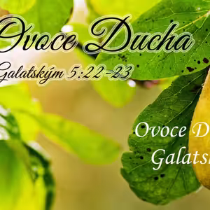 Ovoce Ducha 4: Trpělivost