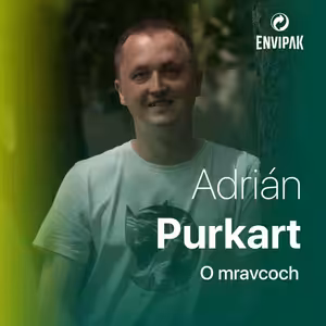 Adrián Purkart: Mravce sú veľmi čistotné, v mravenisku majú aj odpadové komory