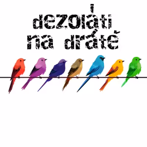 Dezoláti na drátě