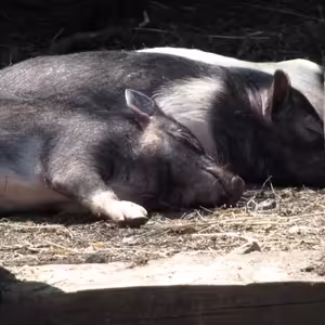 Sobota po 2. pôstnej nedeli
