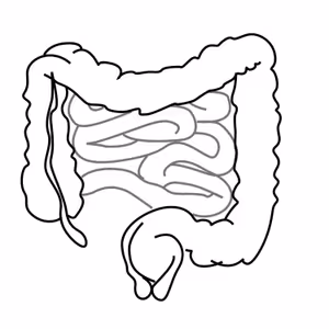 Črevo a mozog #9 Skrátené črevo a apendix
