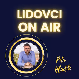 Petr Hladík: „Do roku 2026 máme ambici zřídit v Brně virtuální elektrárnu; český Sebastian Kurz nejsem.“