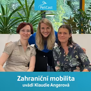 Zahraniční mobilita