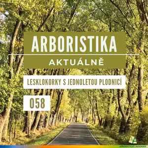 Lesklokorky s jednoletou plodnicí - Arboristika aktuálně #058