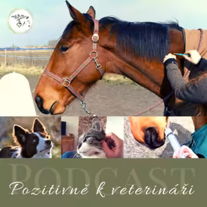 Návštěva veterináře nemusí být noční můra