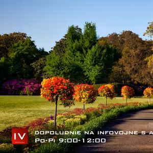 Dopoludnie na Infovojne s Adrianom 4.5.2022