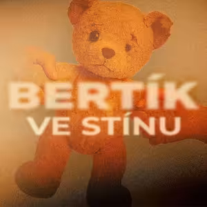 Psychiatr Bém vyšetřil Bertíka: Slova o zneužívání je nutné brát vážně