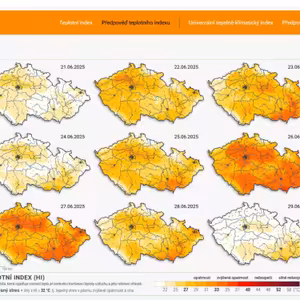 Jak horké léto nás čeká? Vědci už umí předpovídat vlny veder devět dní dopředu