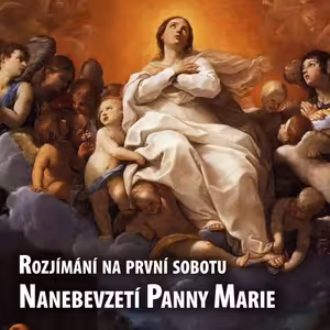 Rozjímání na první sobotu - Nanebevzetí Panny Marie