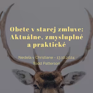 Obete. Aktuálne, zmysluplné a praktické - Todd Patterson