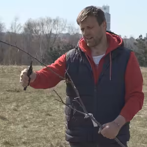 U jezera Most vyrůstá ovocný sad.