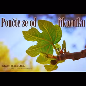 Poučte se od fíkovníku - Bohuslav Wojnar (3.2.2019)