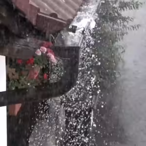 Vlákna Stvoření – živé vysílání