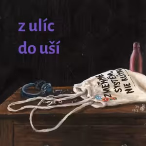 Má aktivizmus zmysel?