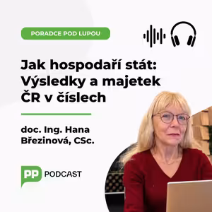 Jak hospodaří stát: Výsledky a majetek ČR v číslech | HANA BŘEZINOVÁ
