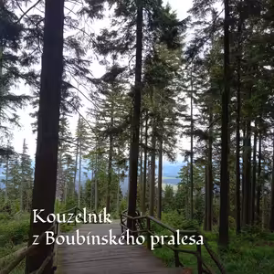 Kouzelník z Boubínského pralesa