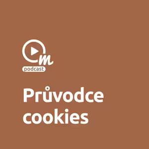 Co všechno byste měli vědět o cookies
