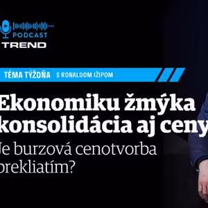 Ekonomiku žmýka konsolidácia aj ceny energií. Je burzová cenotvorba prekliatím?