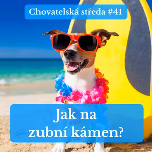 🪱 Pozor na SRDEČNÍ ČERVY! 🪱 | Chovatelská středa #41